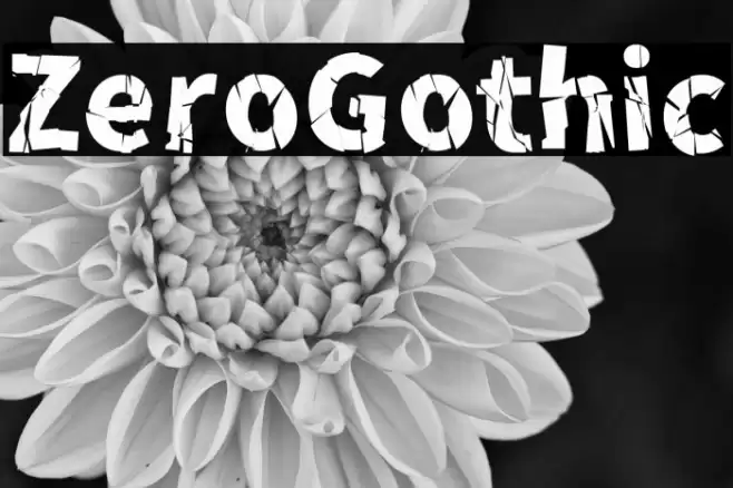 ZeroGothic Font examples