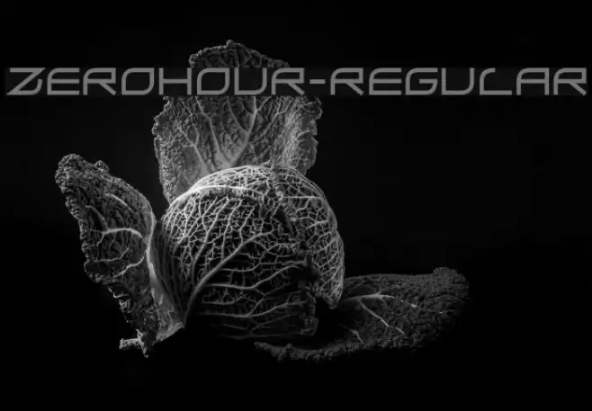 ZeroHour-Regular Font examples