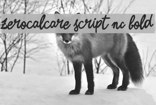 Zerocalcare Script NC Bold Polices examples