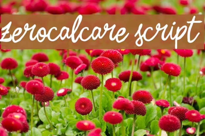 Zerocalcare Script Font examples