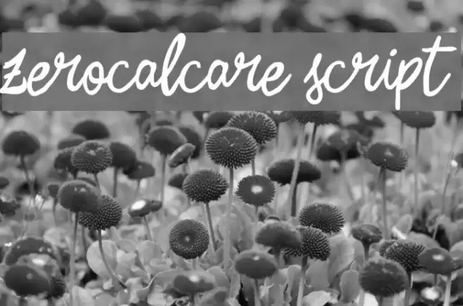 Zerocalcare Script Polices examples