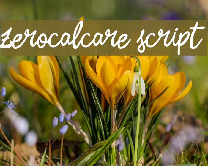 Zerocalcare Script Font examples