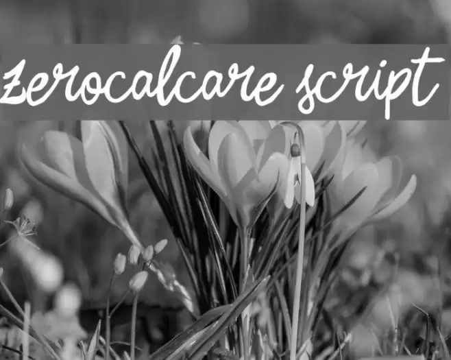 Zerocalcare Script Polices examples
