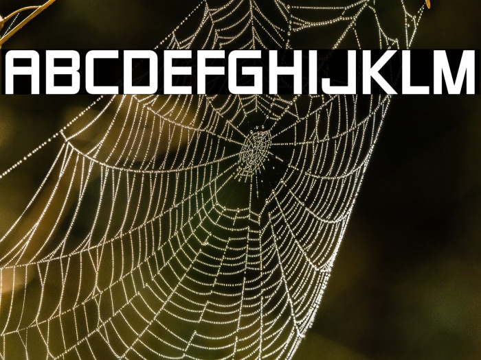 ZeroesThree-Regular Example 1