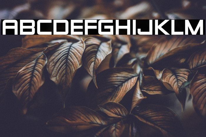 ZeroesTwo-Regular Example 2