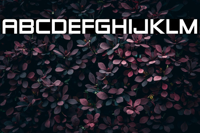 ZeroesTwo-Regular Example 3