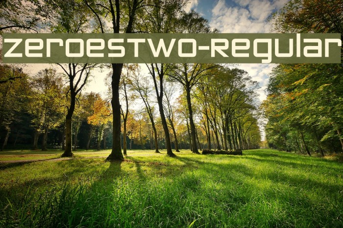 ZeroesTwo-Regular Шрифта examples