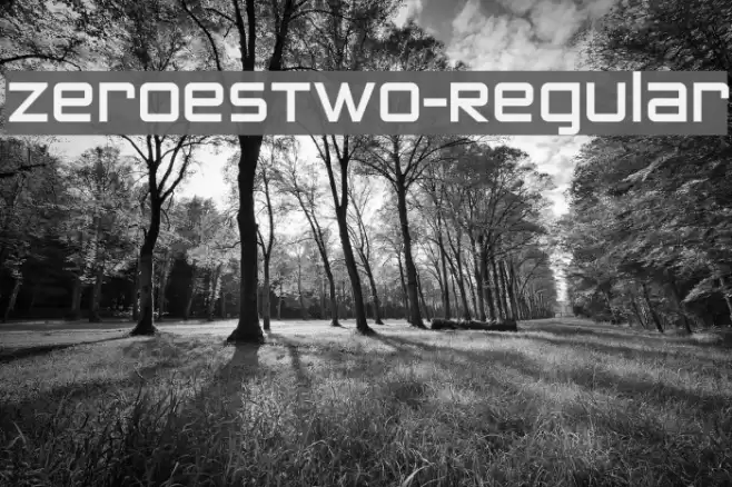 ZeroesTwo-Regular Шрифта examples