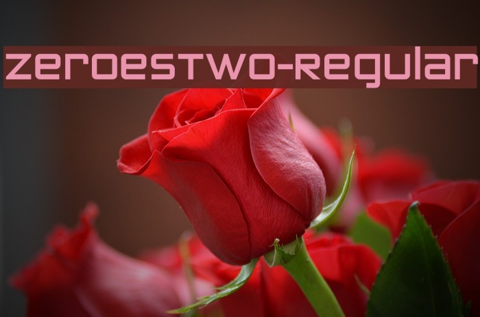 ZeroesTwo-Regular Шрифта examples