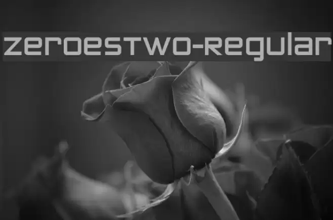 ZeroesTwo-Regular Шрифта examples