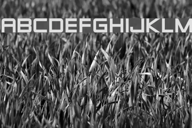 Zeroes Fonte examples