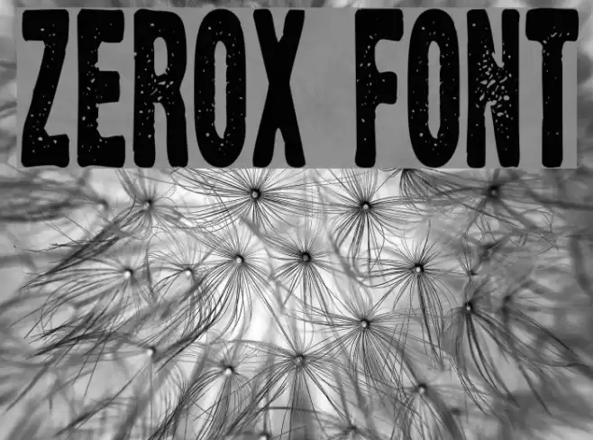 Zerox Font examples