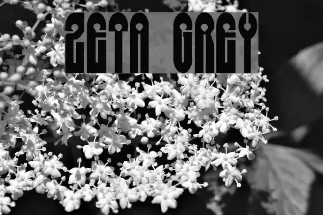Zeta Grey Font examples