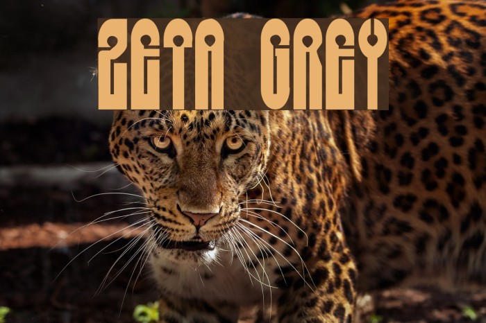 Zeta Grey Font examples