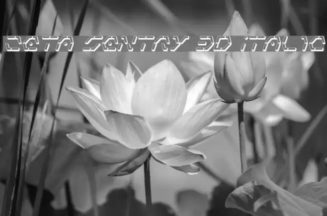 Zeta Sentry 3D Italic Font examples