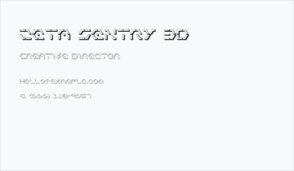 Zeta Sentry 3D Business Card
