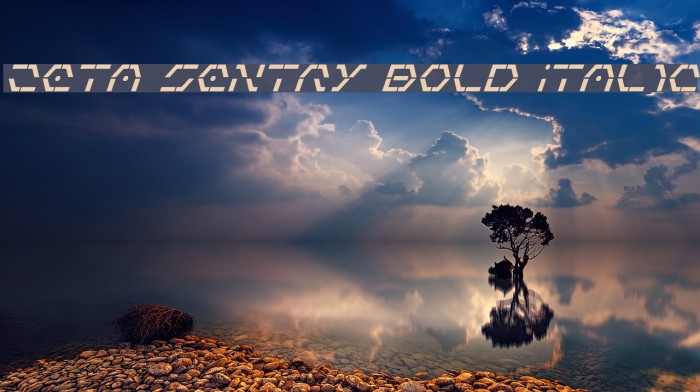 Zeta Sentry Bold Italic Шрифта examples