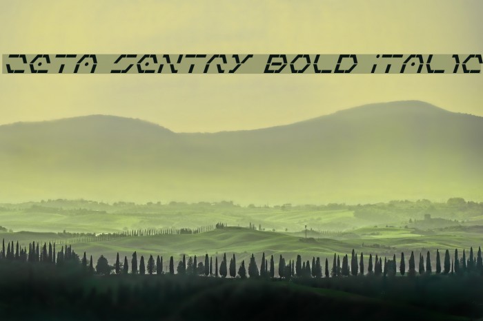 Zeta Sentry Bold Italic Шрифта examples