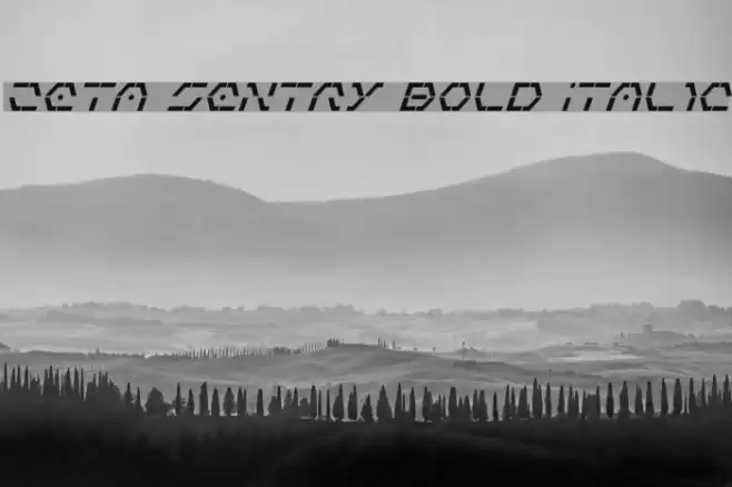 Zeta Sentry Bold Italic Font examples
