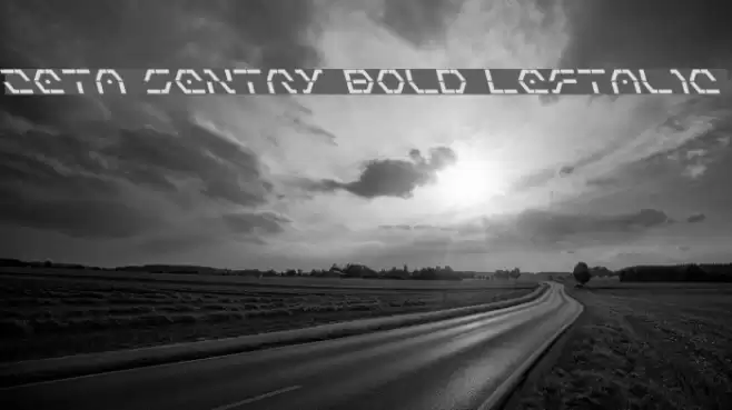 Zeta Sentry Bold Leftalic Font examples