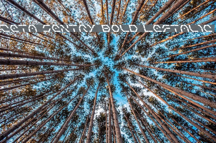 Zeta Sentry Bold Leftalic Font examples