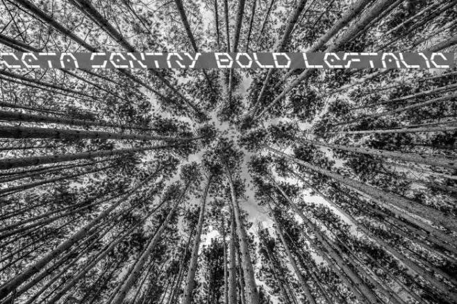 Zeta Sentry Bold Leftalic Font examples