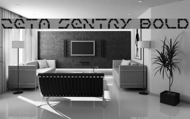 Zeta Sentry Bold Font examples