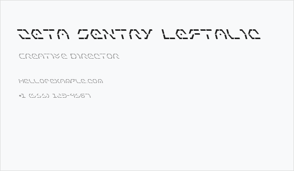 Zeta Sentry Leftalic Business Card