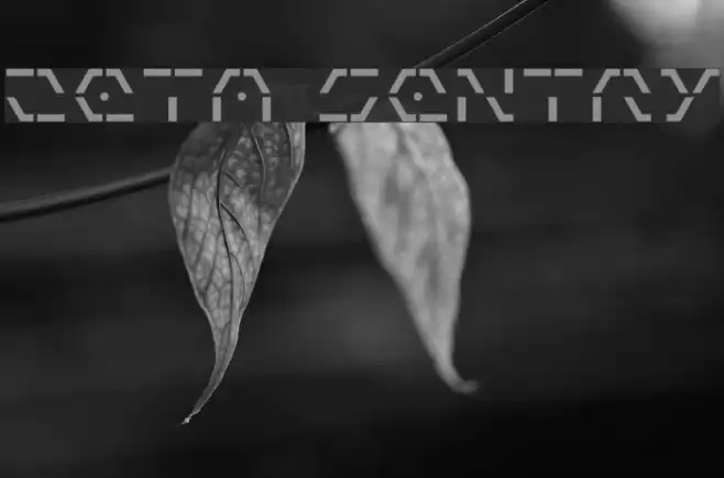 Zeta Sentry Font examples