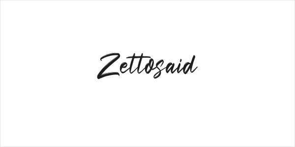 Zettosaid Logo
