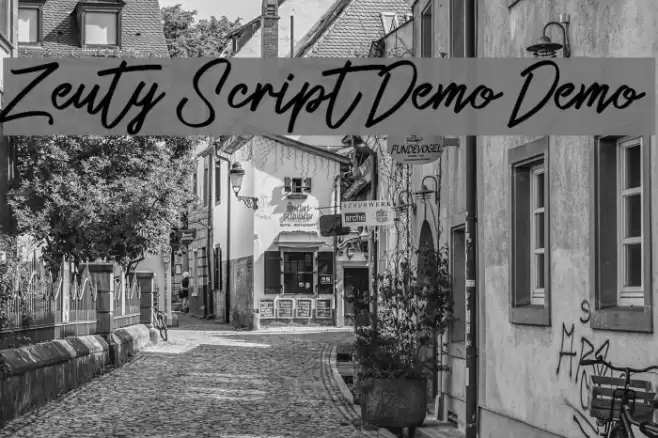 Zeuty Script Demo Demo Font examples