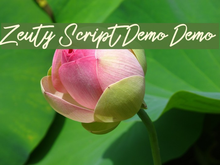 Zeuty Script Demo Demo Example 2