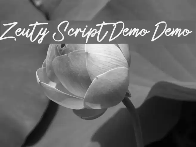 Zeuty Script Demo Demo Font examples