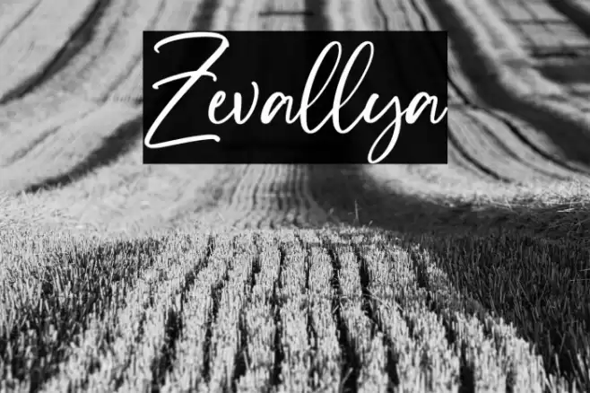 Zevallya Font examples