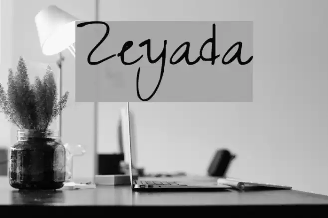 Zeyada Font examples