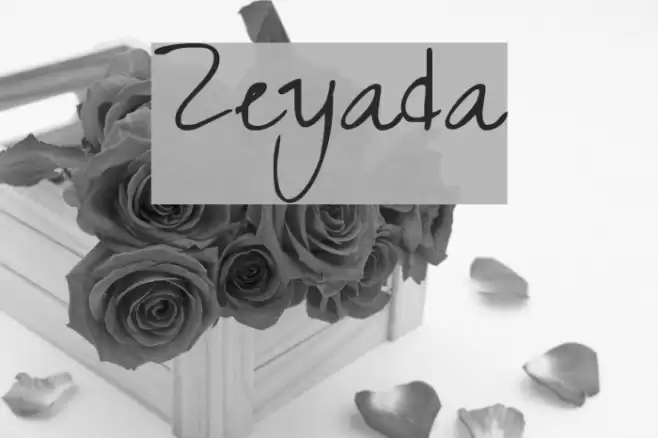 Zeyada Font examples