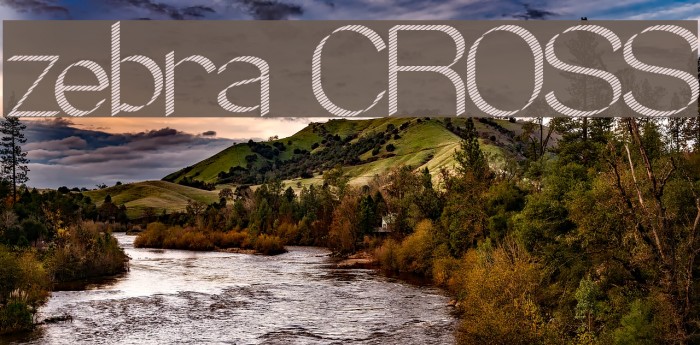zebra CROSS Font examples