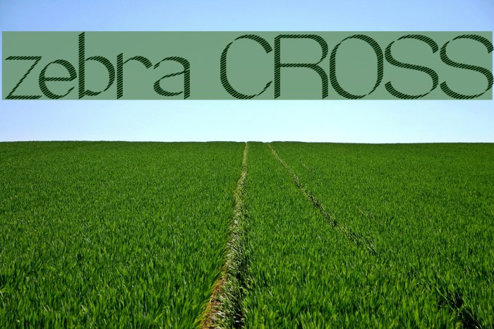 zebra CROSS Font examples