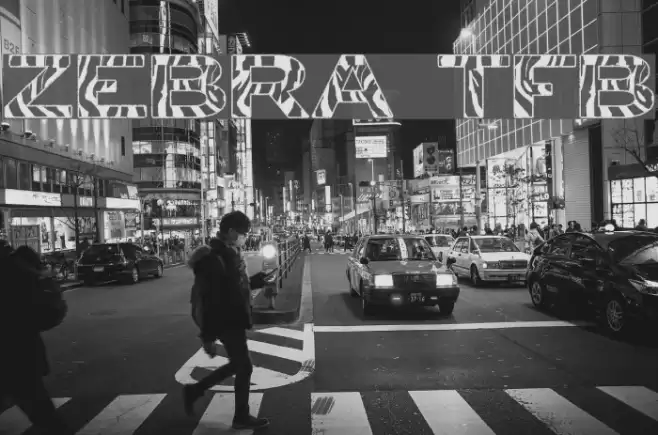 zebra tfb Font examples