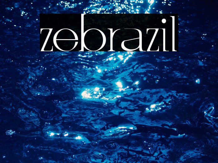 zebrazil Example 1