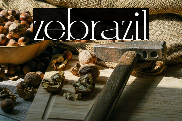 zebrazil Example 2