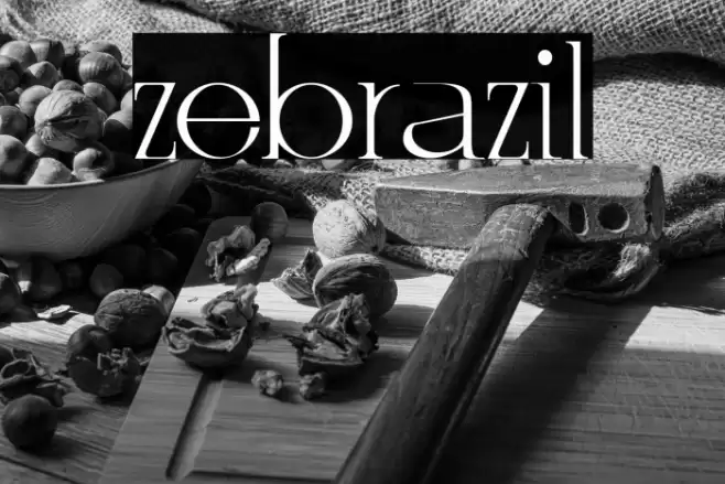 zebrazil Polices examples