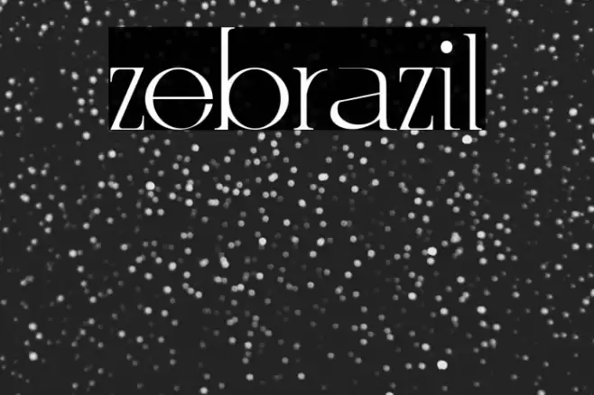 zebrazil Polices examples