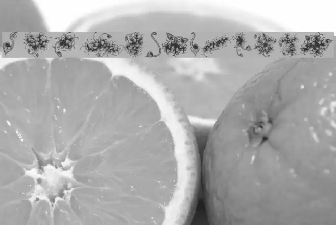 zendingone Font examples