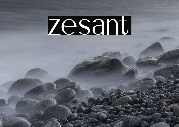 zesant Example 1