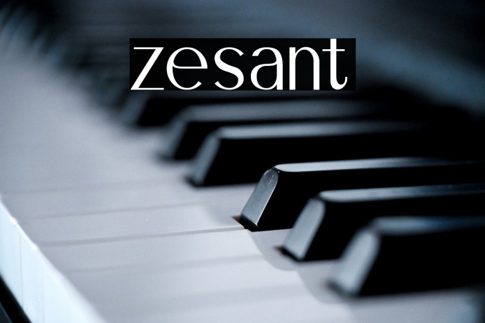 zesant Example 2