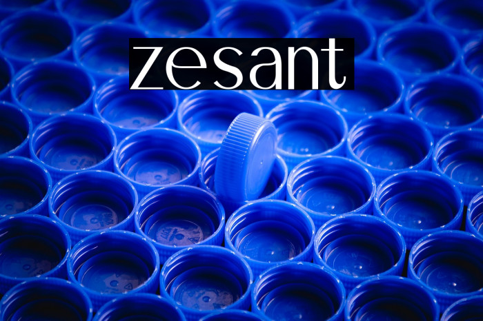 zesant Example 3