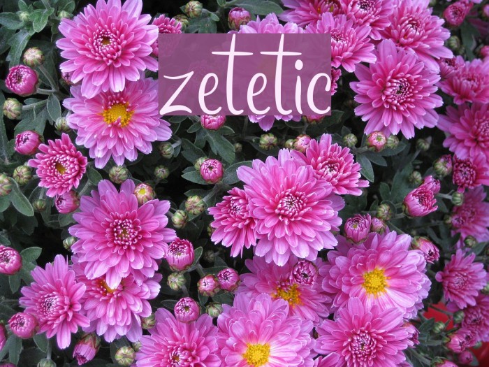 zetetic Font examples