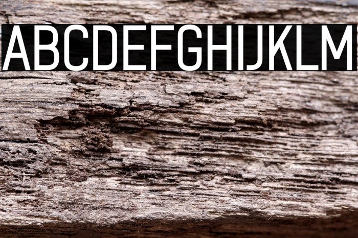 ZF2334 After A Rain Regular Example 2