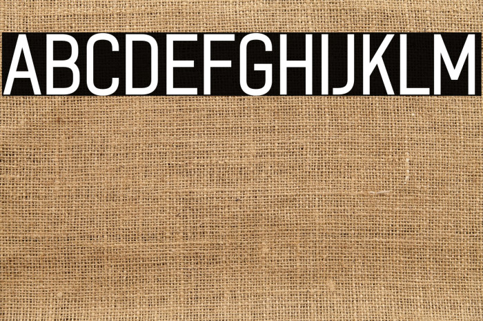 ZF2334 After A Rain Regular Example 3